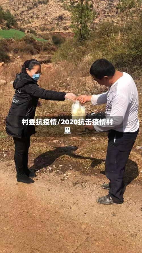 村委抗疫情/2020抗击疫情村里-第2张图片