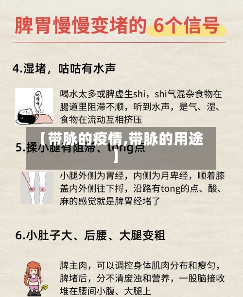 【带脉的疫情,带脉的用途】-第1张图片