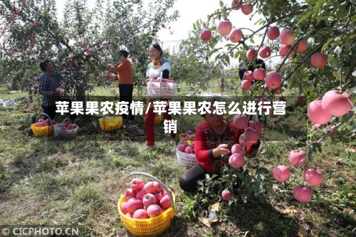 苹果果农疫情/苹果果农怎么进行营销-第3张图片