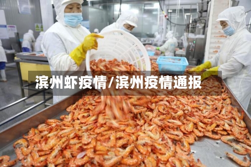 滨州虾疫情/滨州疫情通报-第1张图片