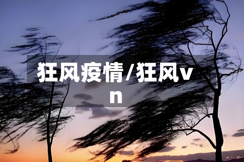 狂风疫情/狂风vn-第1张图片