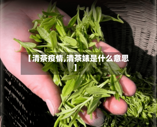 【清茶疫情,清茶婊是什么意思】-第2张图片