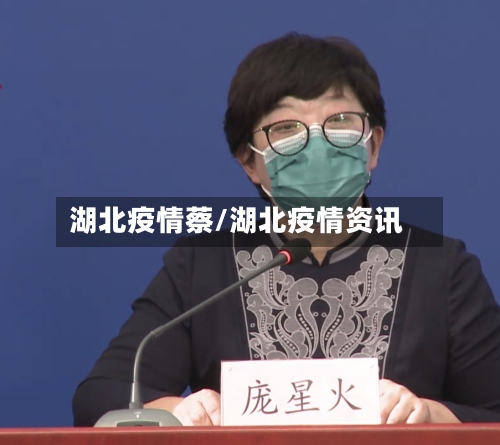 湖北疫情蔡/湖北疫情资讯-第1张图片