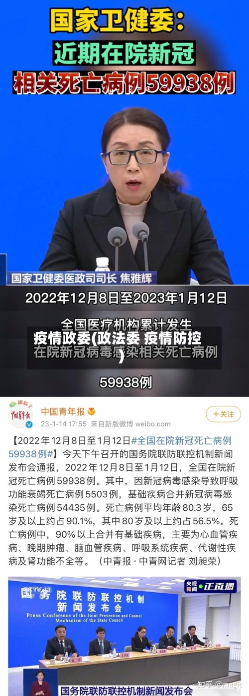 疫情政委(政法委 疫情防控)-第1张图片