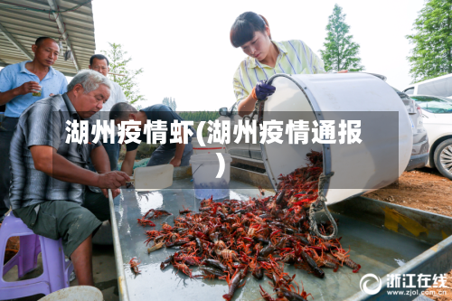 湖州疫情虾(湖州疫情通报)-第1张图片