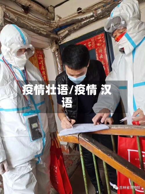 疫情壮语/疫情 汉语-第3张图片