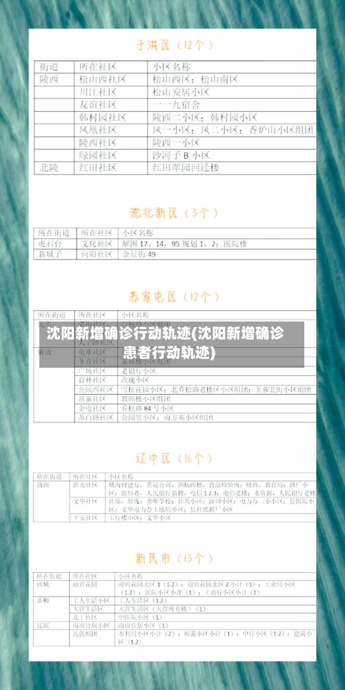 沈阳新增确诊行动轨迹(沈阳新增确诊患者行动轨迹)-第1张图片