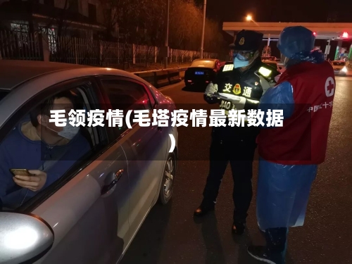 毛领疫情(毛塔疫情最新数据)-第1张图片