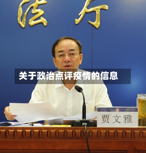 关于政治点评疫情的信息-第2张图片