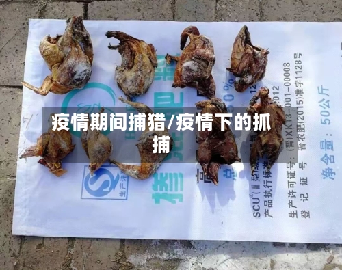 疫情期间捕猎/疫情下的抓捕-第2张图片