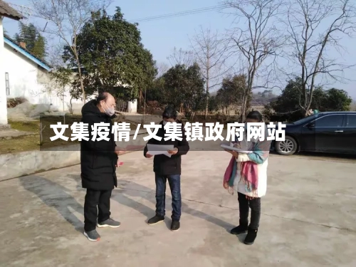 文集疫情/文集镇政府网站-第1张图片