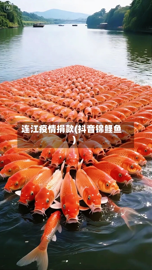 连江疫情捐款(抖音锦鲤鱼)-第1张图片