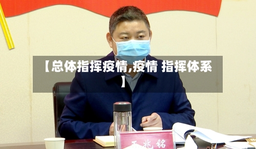 【总体指挥疫情,疫情 指挥体系】-第2张图片