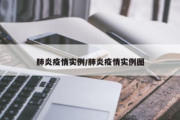 肺炎疫情实例/肺炎疫情实例图